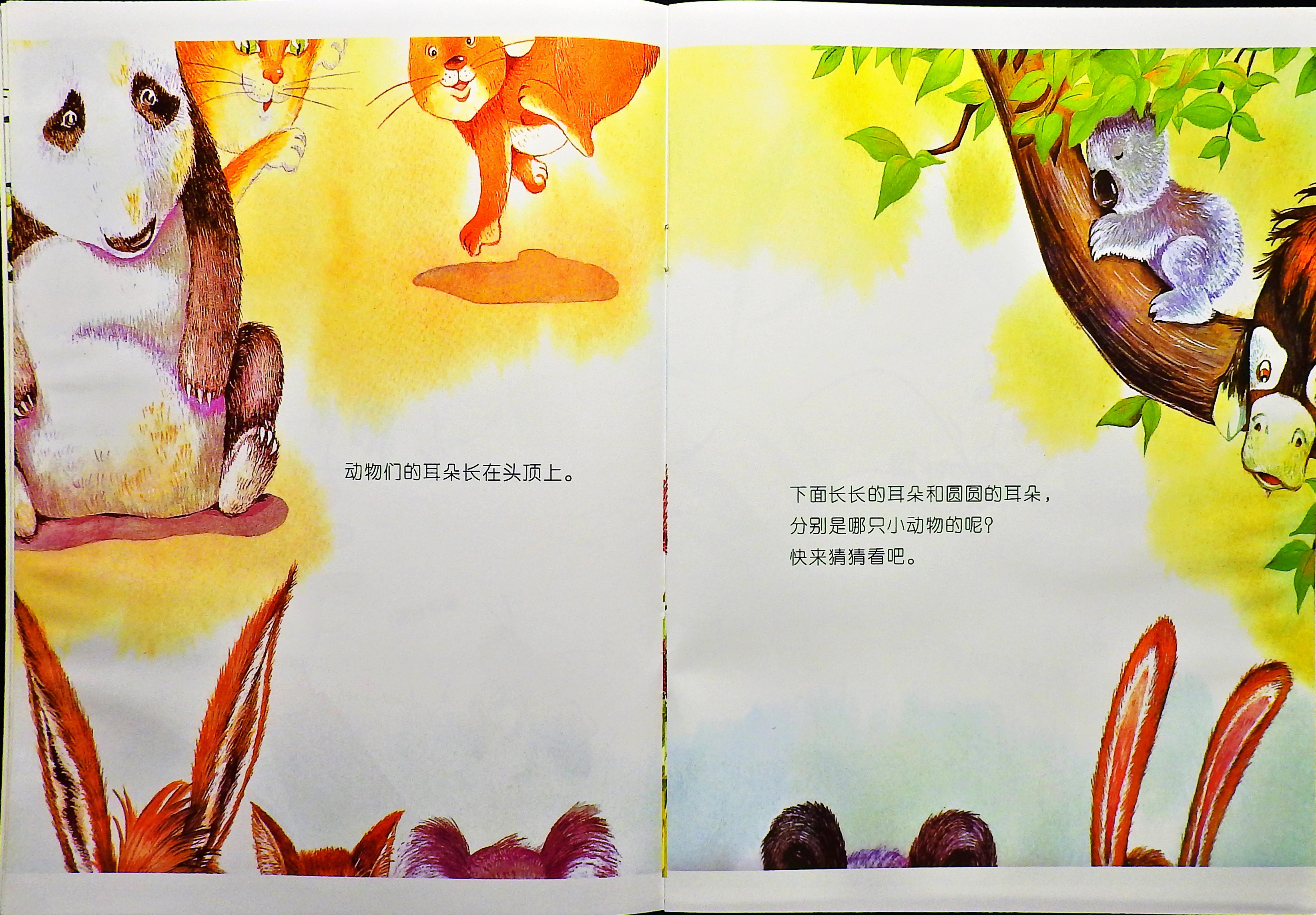 昆虫也有耳朵吗？ (05),绘本,绘本故事,绘本阅读,故事书,童书,图画书,课外阅读